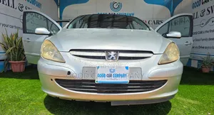 Peugeot 307 2008 Silver