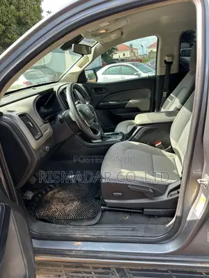 Chevrolet Colorado 2019 Gray