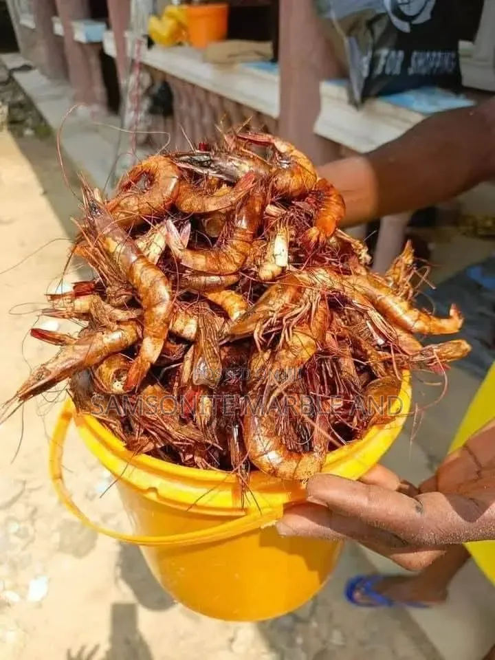 Freshly Cleaned Prawn