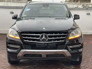 Mercedes-Benz M Class 2015 Black