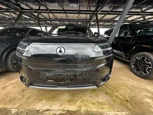 New Denza N9 2.0 Hybrid AWD 2025 Black