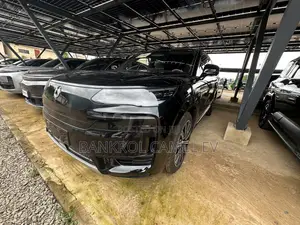 New Denza N9 2.0 Hybrid AWD 2025 Black