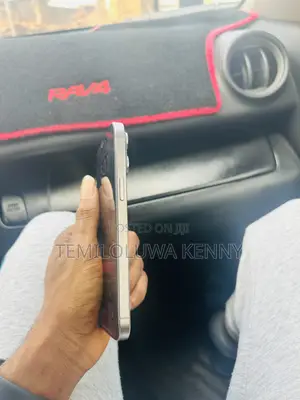 Apple iPhone 15 Pro Max 256 GB Gray