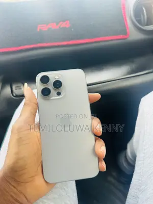 Apple iPhone 15 Pro Max 256 GB Gray