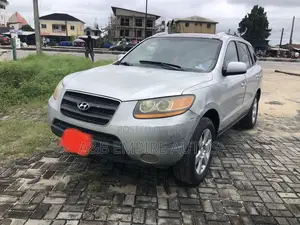 Hyundai Santa Fe 2008 Silver
