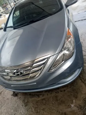 Hyundai Sonata 2011 Blue