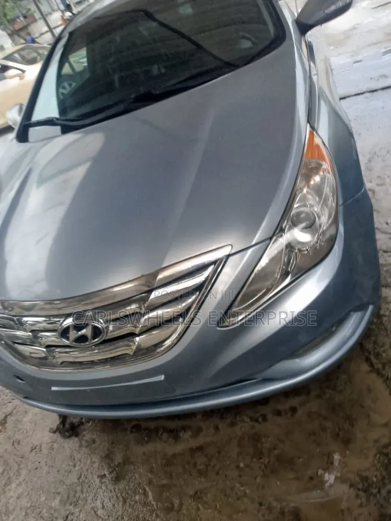Hyundai Sonata 2011 Blue