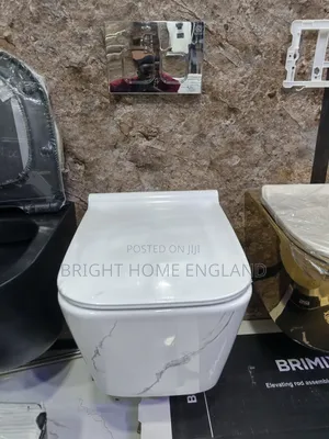 Conceive Toilet WC White
