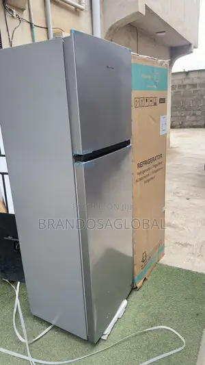Hisense REF306DR Refrigerator – Efficient Household Refrigerator
