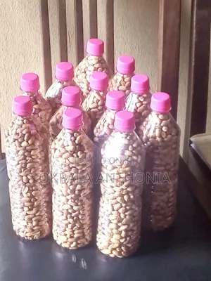 Groundnut Bottle