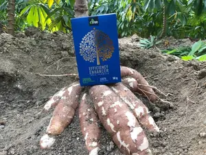 4tree Organic Fertilizer