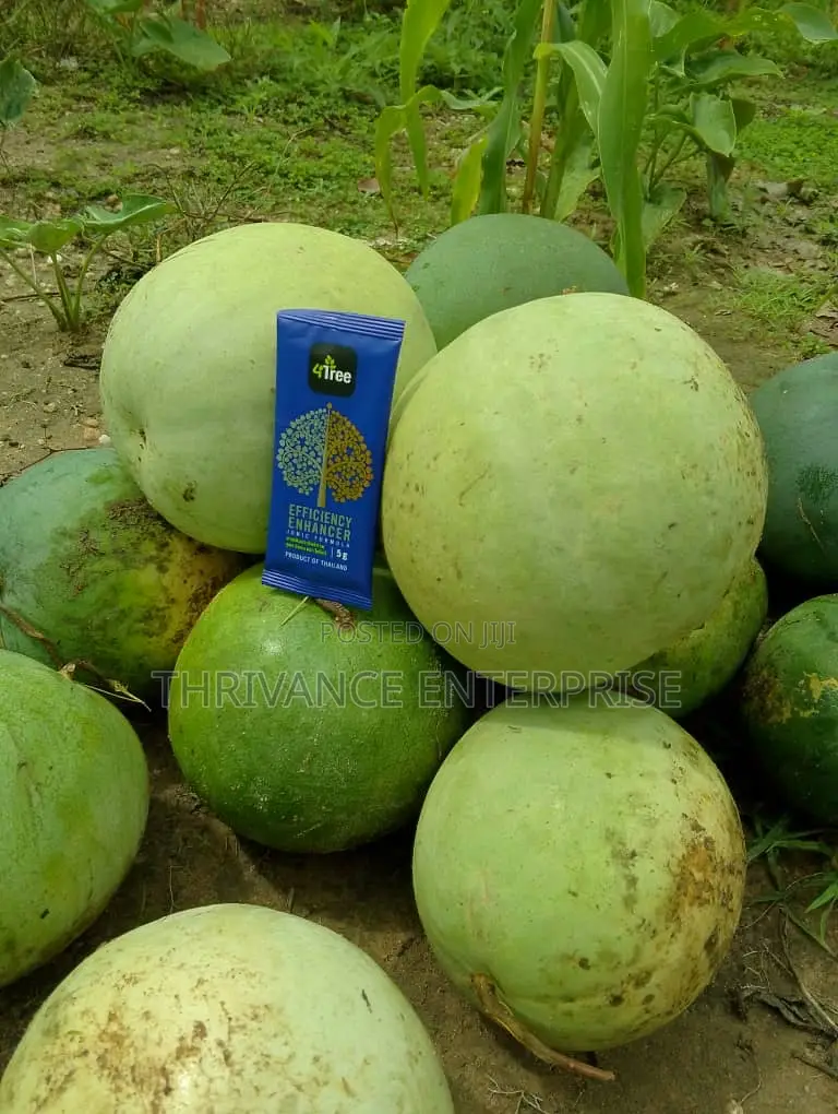 4tree Organic Fertilizer