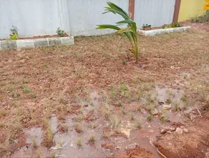 Landscaping Services