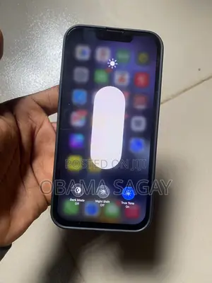 iPhone 13 Screen