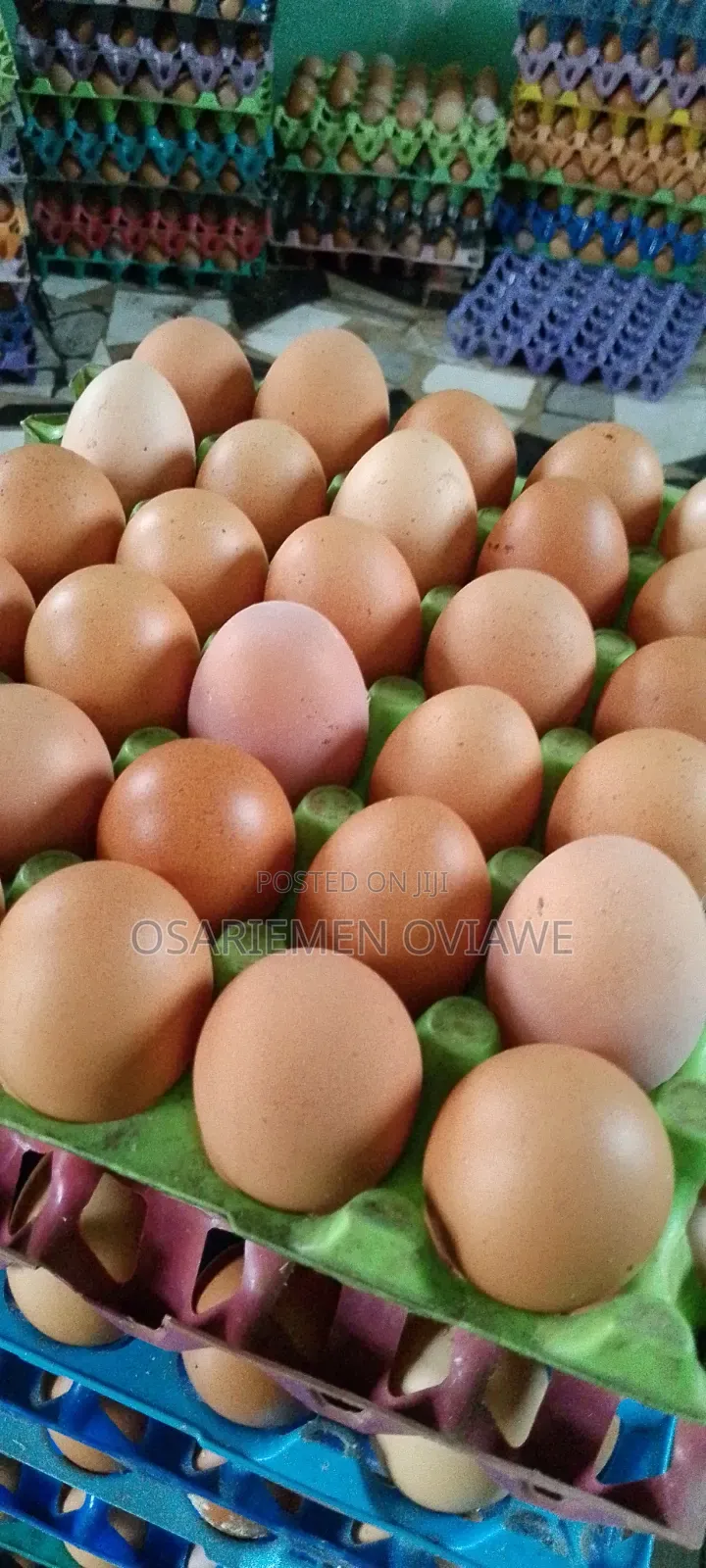 Eggs Available for Bulk Buy/ Retail