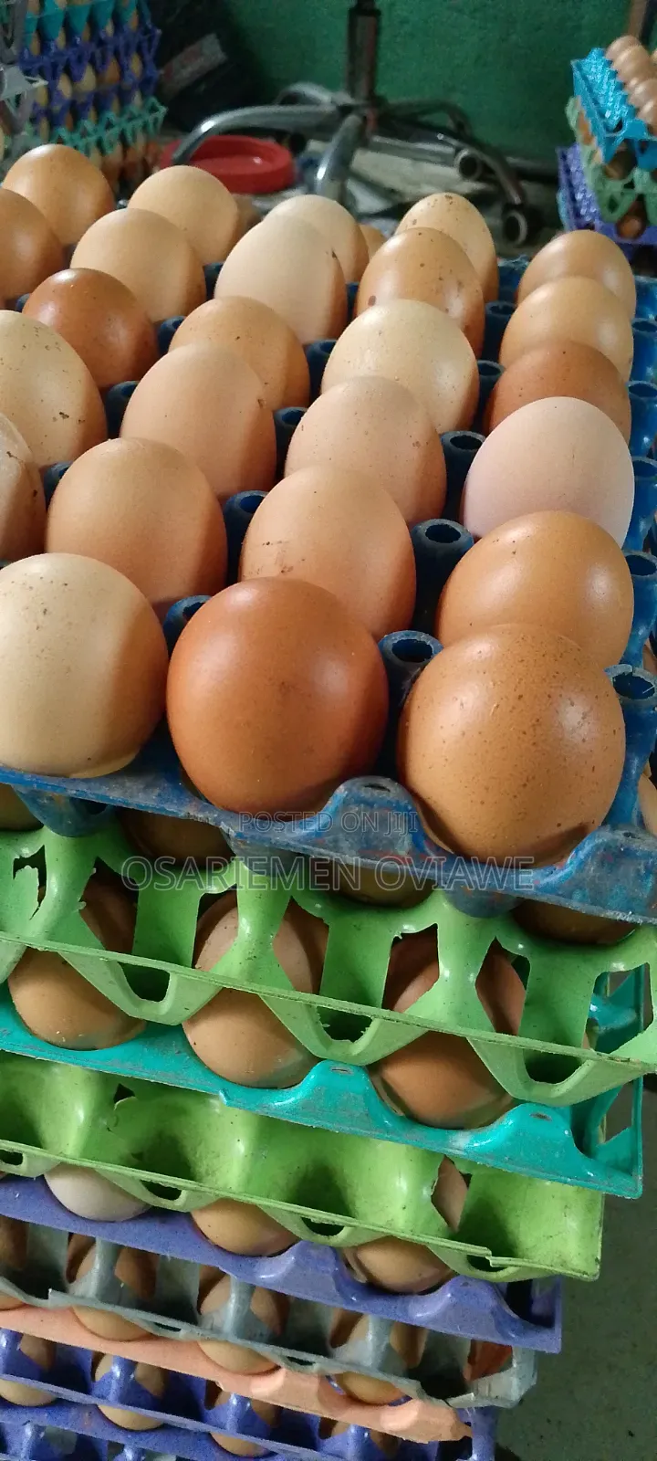 Eggs Available for Bulk Buy/ Retail
