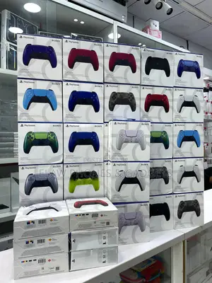 Ps5 Controller