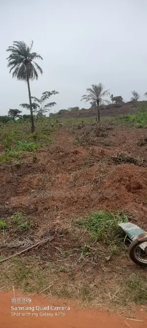 A 2 and Half Acre of Land