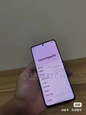 Xiaomi 13 Ultra (China) 256 GB Black