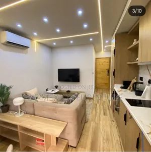 Luxury Cushion With Plywood [Sofa]