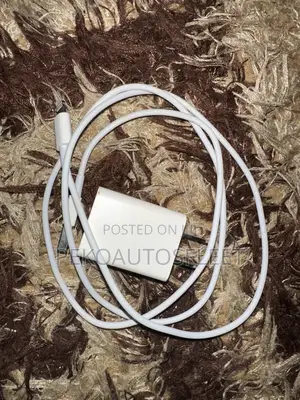 Original iPhone Cable and Adaptor