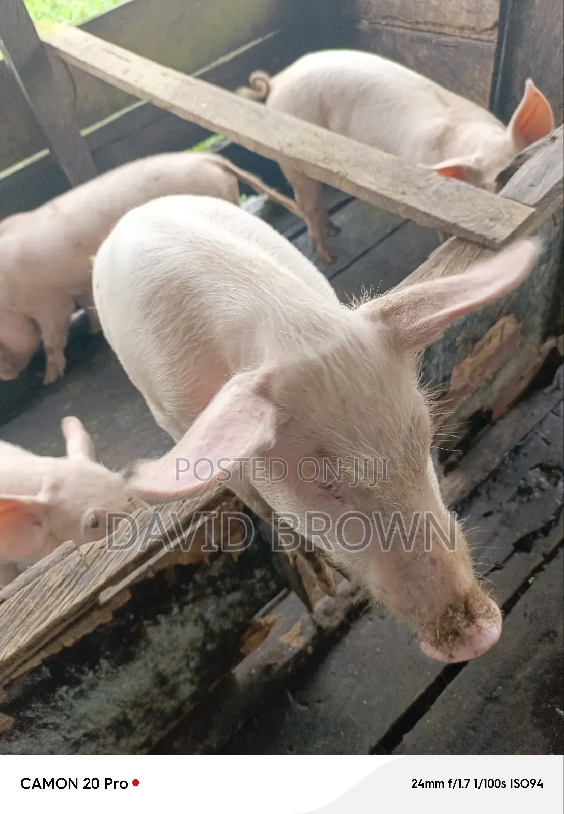 Dbrown Farm