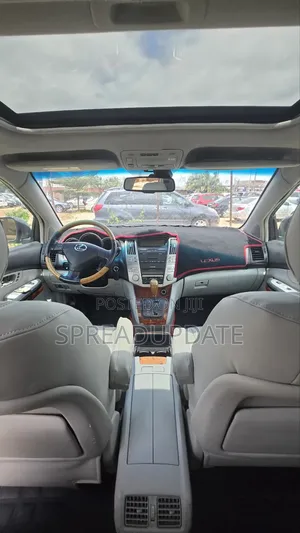 Lexus RX 2008 Gray