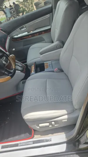 Lexus RX 2008 Gray