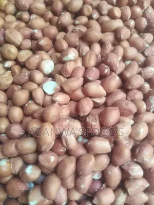 Peanut Groundnut