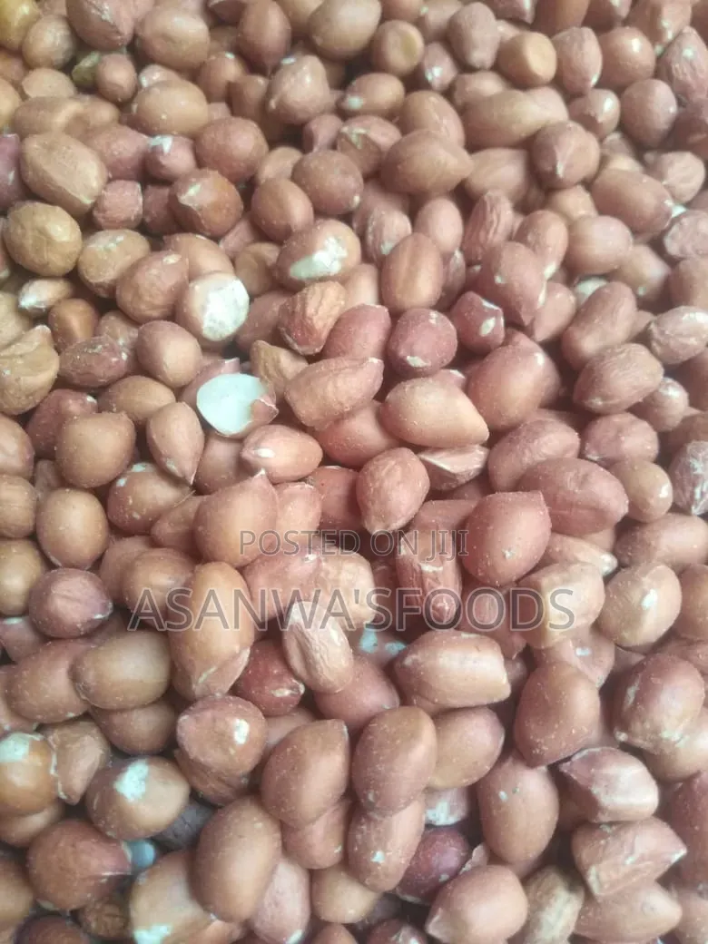 Peanut Groundnut