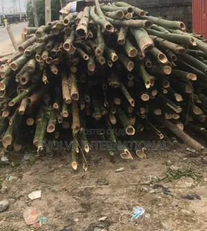 Olori Oko Bamboo