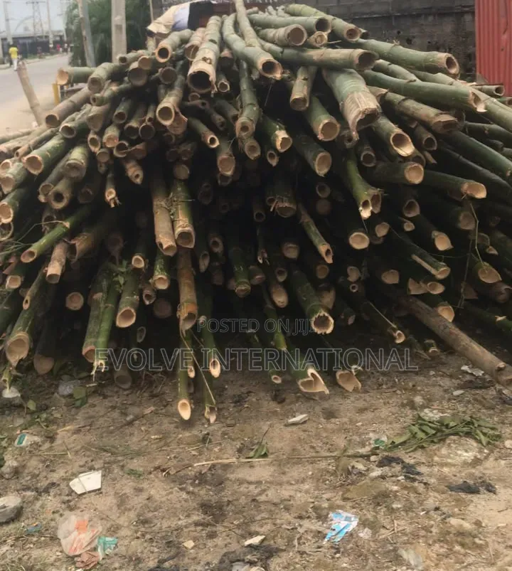 Olori Oko Bamboo