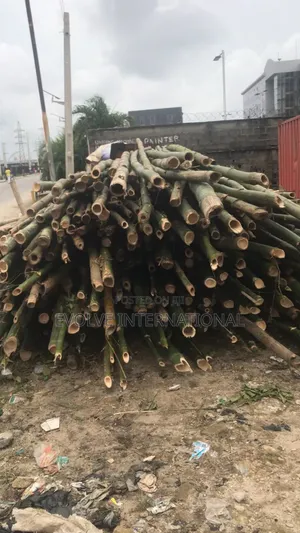 Olori Oko Bamboo