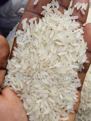 Premium RICE