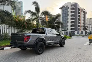 Ford F-150 Platinum 2024 Gray