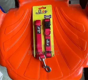 Dog Favor Lead N Collar 2.0*120cm
