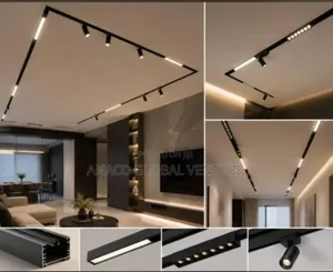 Magnetic Track Light