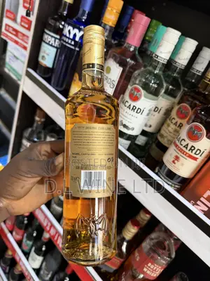 Bacardi Carta Oro Gold Carton of 12 Bottles