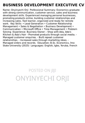 Business Development Executive
