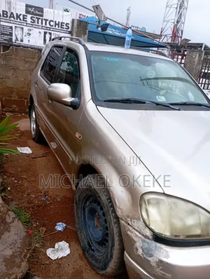 Mercedes-Benz M Class 2004 Beige