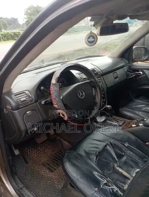 Mercedes-Benz M Class 2004 Beige
