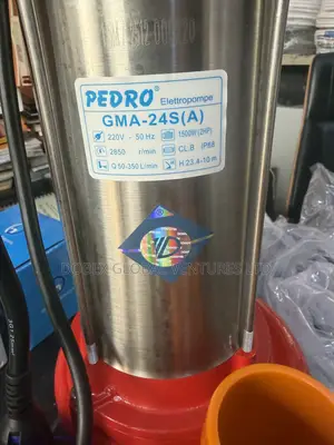 2hp Pedro Sewage Pump