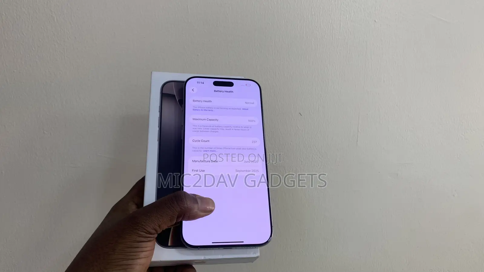 Apple iPhone 16 Pro Max 256 GB Gray