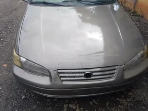 Toyota Camry 2002 Gray
