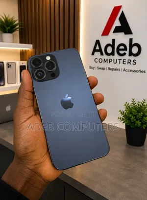 Apple iPhone 12 Pro Max 256 GB Gray