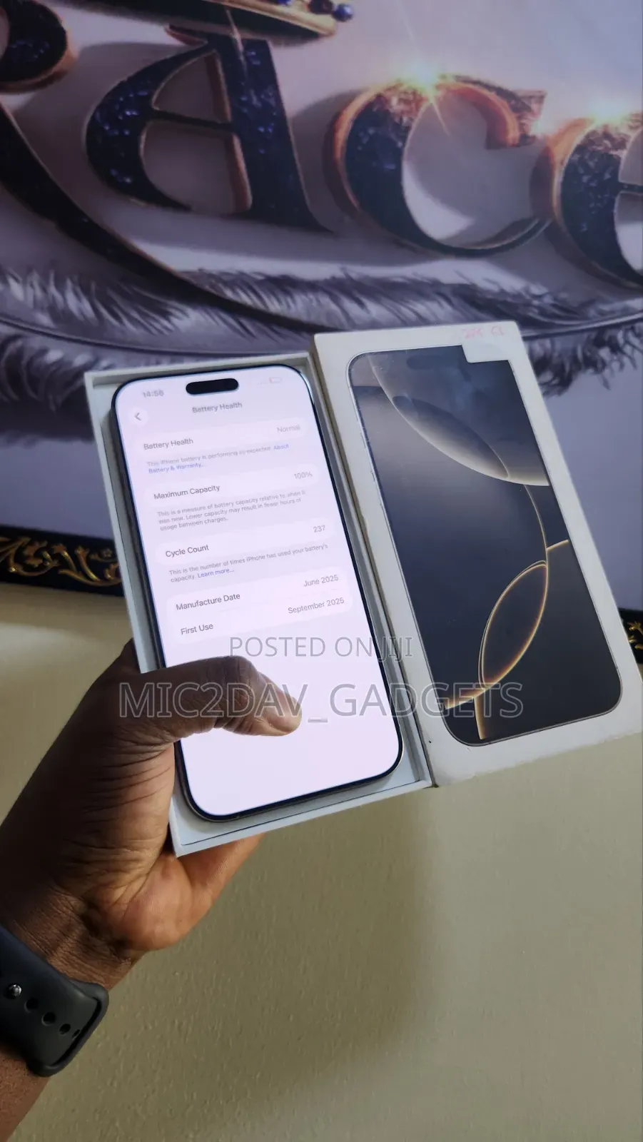 Apple iPhone 16 Pro Max 256 GB Silver