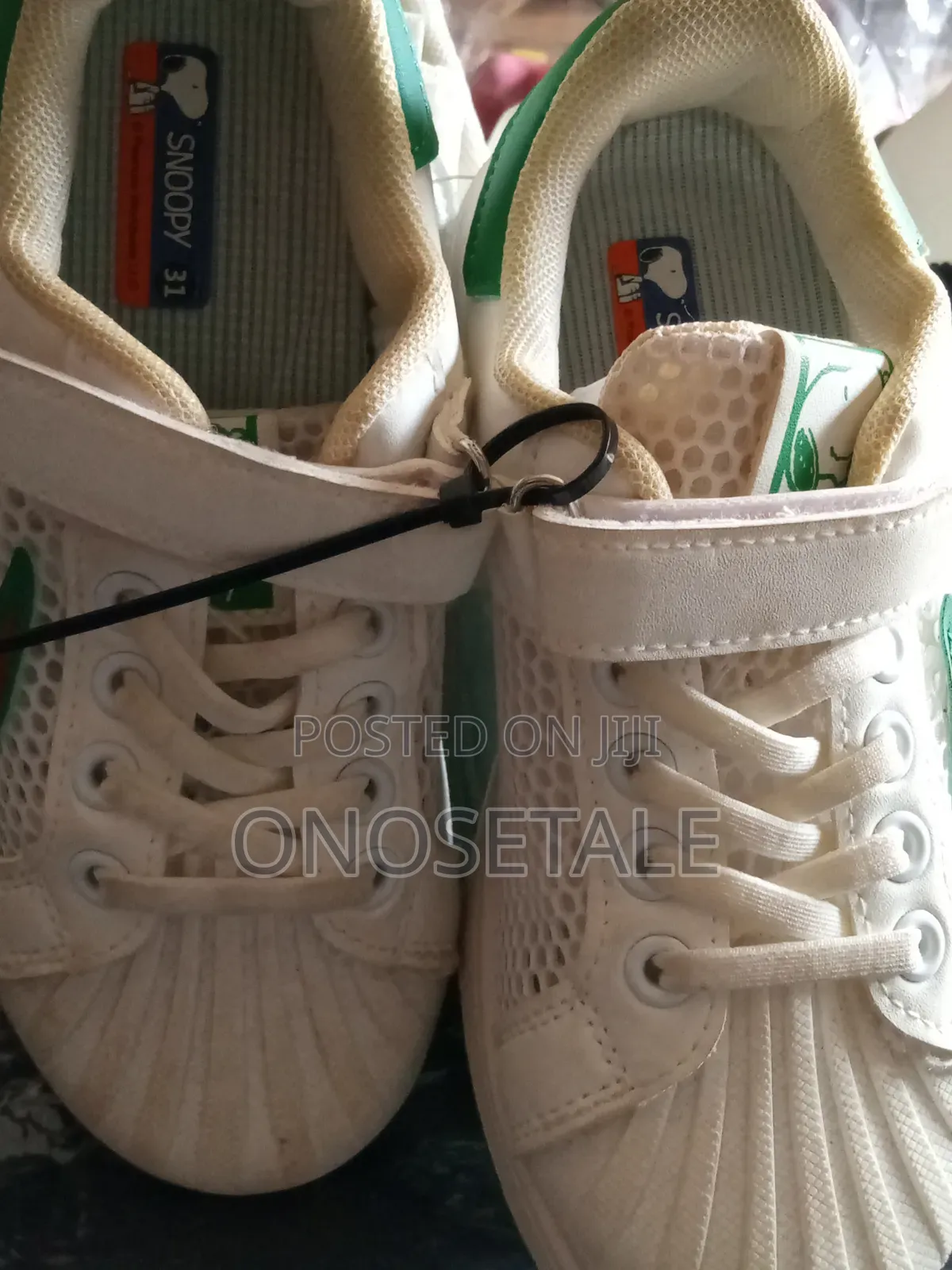 Snoopy Canvas Size 34/