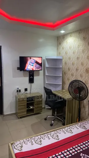24/7 Tastefully Furnished Apartment