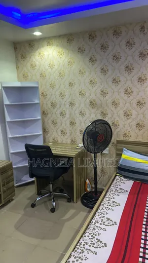 24/7 Tastefully Furnished Apartment
