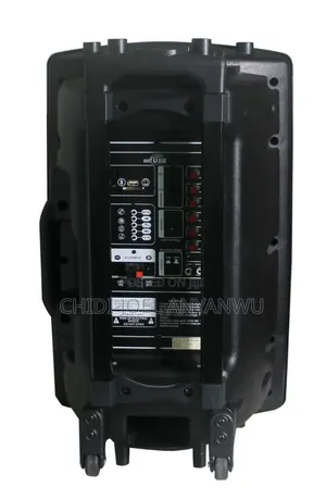 12 Inch Wireless pA System